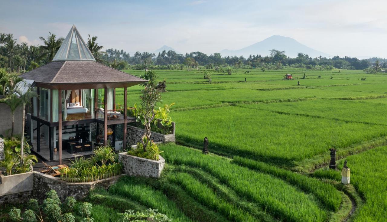 Gdas Bali Health And Wellness Resort - Adult Only Ubud Kültér fotó